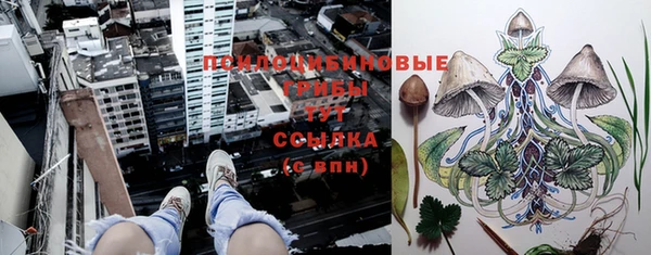 прущая мука Алзамай